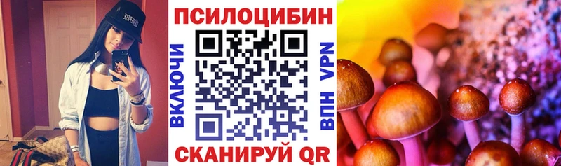 Псилоцибиновые грибы Cubensis  Купить  Лангепас 