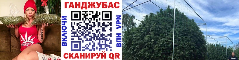 Купить  Лангепас  Шишки марихуана план 